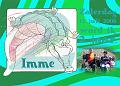 2008 Imme 2 jaar